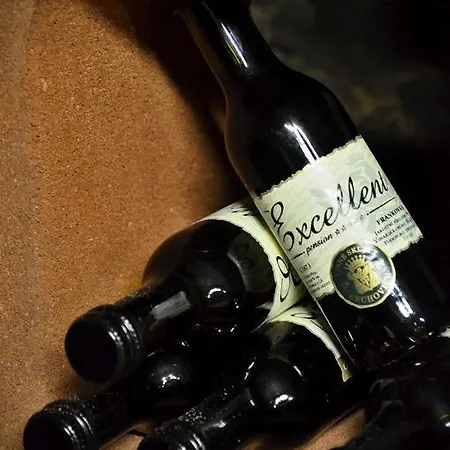 Gasthof Excellent 4*